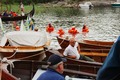 The harbour day