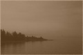 Lots in fog