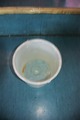 Coin in water