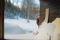 Aventyrskursen2011-023