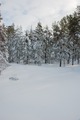 Aventyrskursen2011-046
