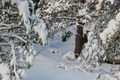 Aventyrskursen2011-056