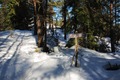 Aventyrskursen2011-084