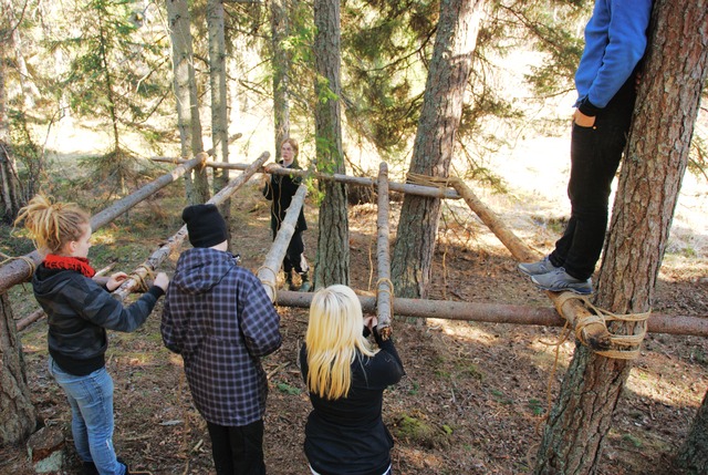 Building sleeping platform - 2