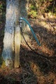 Dringking water