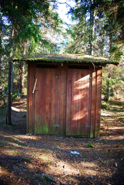 Toilets needing a makeover