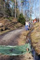 Digging - 2