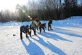 FamiljedagIHellasgarden2011-020