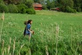 Fields of green