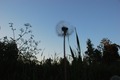 Evening