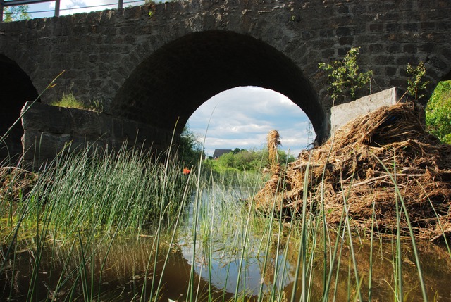 Under the bridge