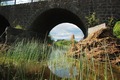 Under the bridge