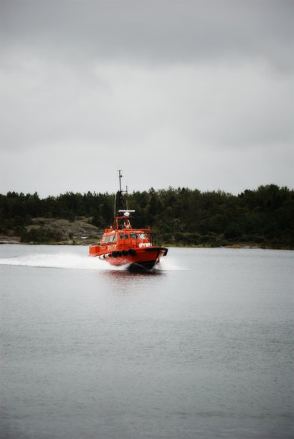 Sigrid2011-013