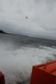 Sigrid2011-024