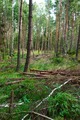The Trapper Trail View