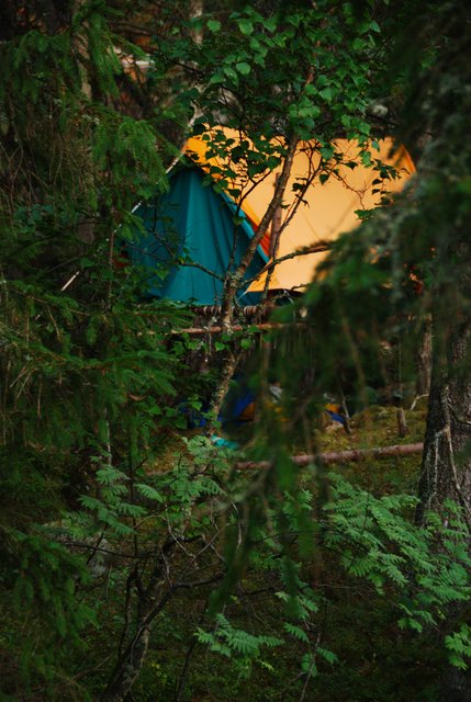 Building the Wilderness Camp - 8