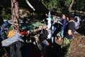 Sleeping in the Trees - 4