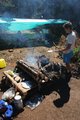 At The Wilderness Camp - 3