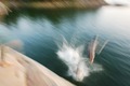 Dive