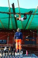 Monkey Electrician