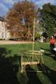 CMC2011_day_2-025