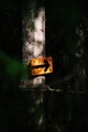 Hinderbanan - 2