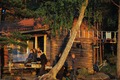 Midsummer Sauna