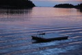 The Midsummer fell Overboard