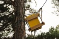 VassaroAllhelgona2011-006