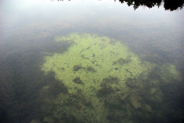 VassaroAllhelgona2011-008