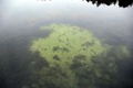 VassaroAllhelgona2011-008