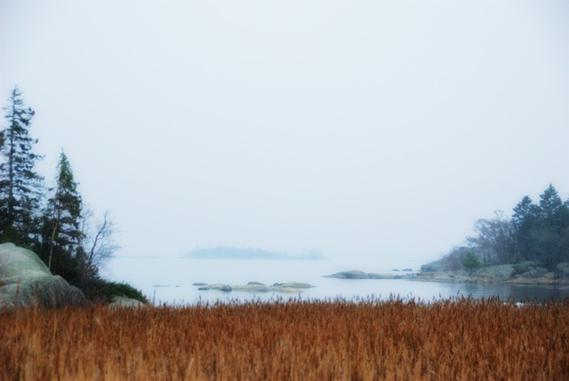 VassaroAllhelgona2011-011