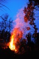 VassaroAllhelgona2011-021