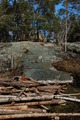 Vassro_pask_2012-005