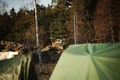 Vassro_pask_2012-024