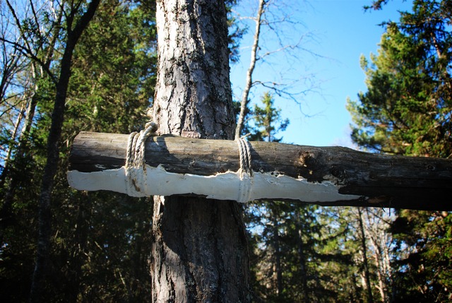 Vassro_pask_2012-027