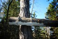 Vassro_pask_2012-027
