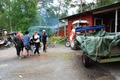 Grisfest - 5