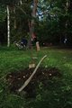 Potatislandet - 2