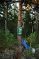 Medicare station for campsite - 1