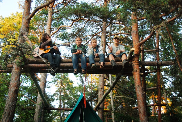Treelife - 1