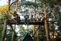 Treelife - 1
