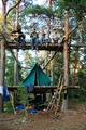Treelife - 2