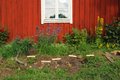 The Potato Palace - 1