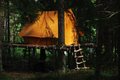 Camping in the Trees - 2