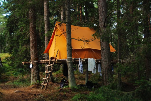 Camping in the Trees - 3
