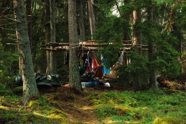 Camping in the Trees - 4