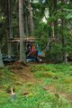 Camping in the Trees - 6