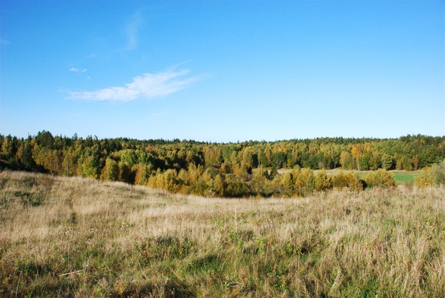 ScouternasNatt2011-026