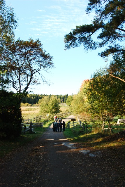 ScouternasNatt2011-028